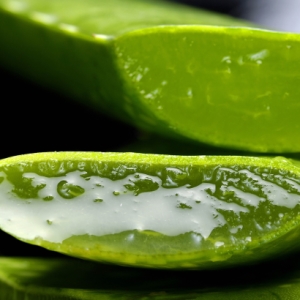 Geheimtipp für Gesundheit und Wohlbefinden: die natürliche Kraft der Aloe Vera